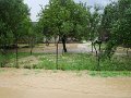 Povodne 203-2010   129